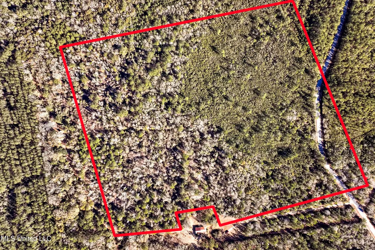 Kit Maples Road, Perkinston, MS 39573 - Image #1