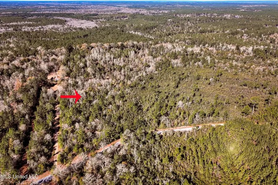 Kit Maples Road, Perkinston, MS 39573 - Image #3