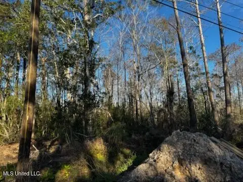 Piute Drive, Kiln, MS 39556 - Image #3