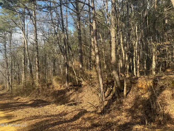 404 Country Road 373, Iuka, MS 38852