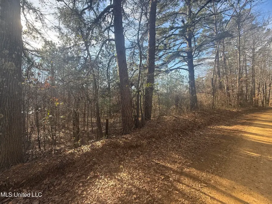 404 Country Road 373, Iuka, MS 38852 - Image #2
