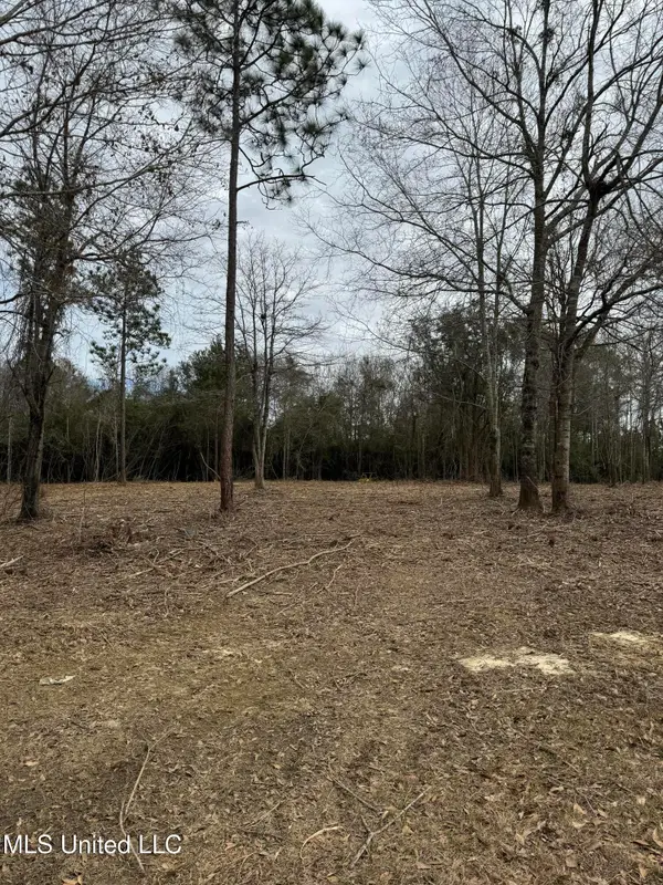 Highland Parkway Parkway, Picayune, MS 39466