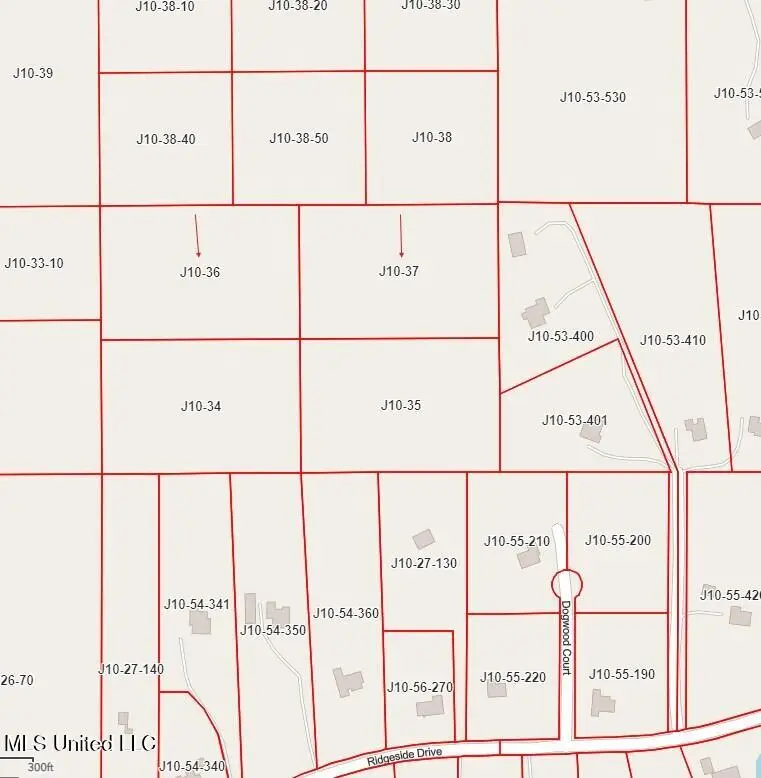 Ridgeside Drive, Brandon, MS 39042 - Image #2