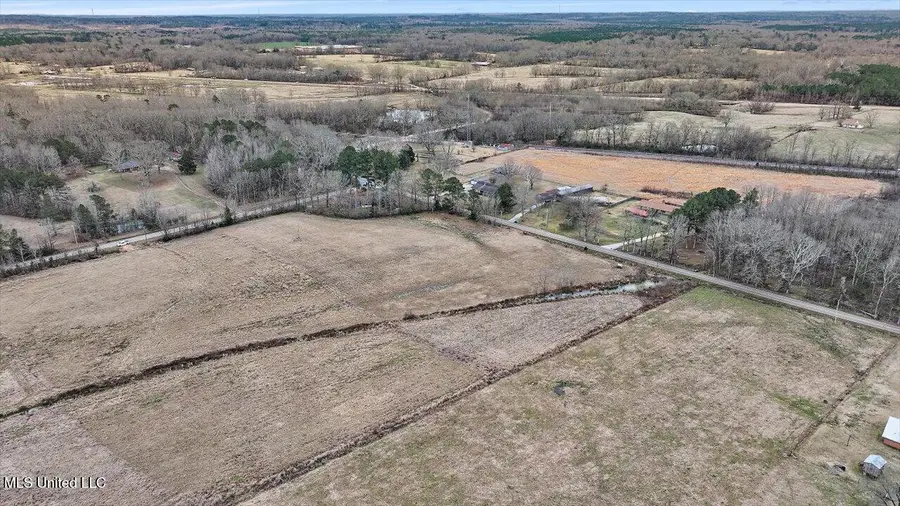 Morton-rankin County Line Road, Pelahatchie, MS 39145 - Image #2