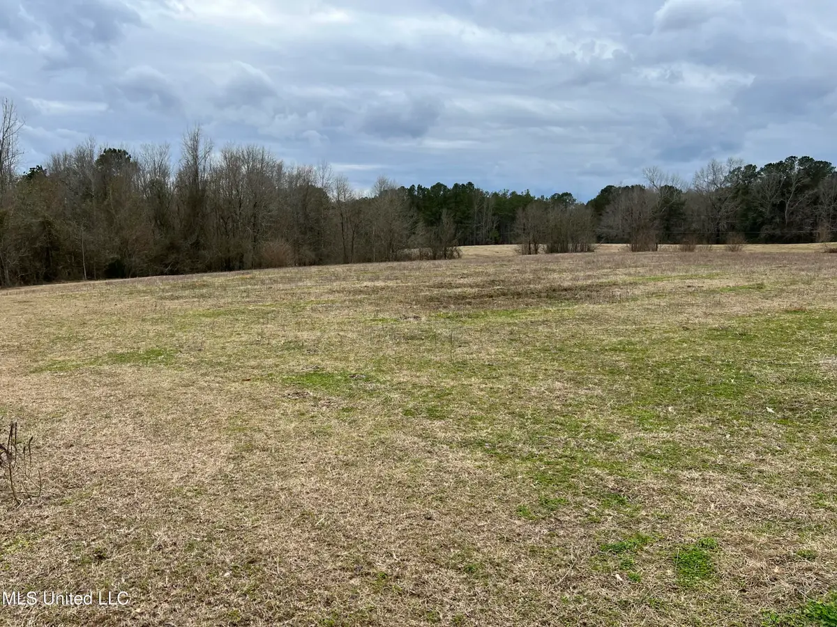 Armory Drive, Taylorsville, MS 39168 - Image #1