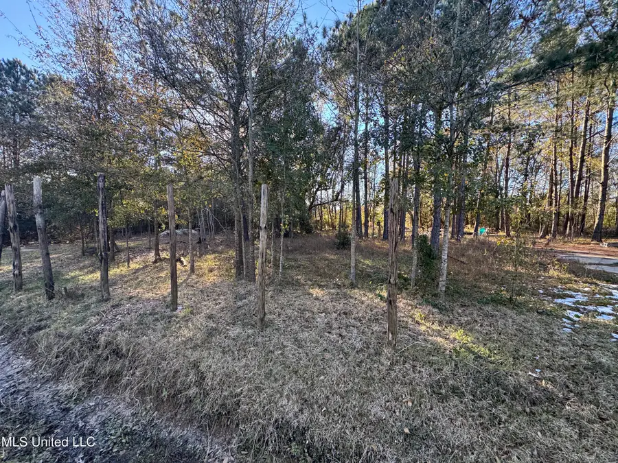 Lepoma Avenue, Biloxi, MS 39532 - Image #2