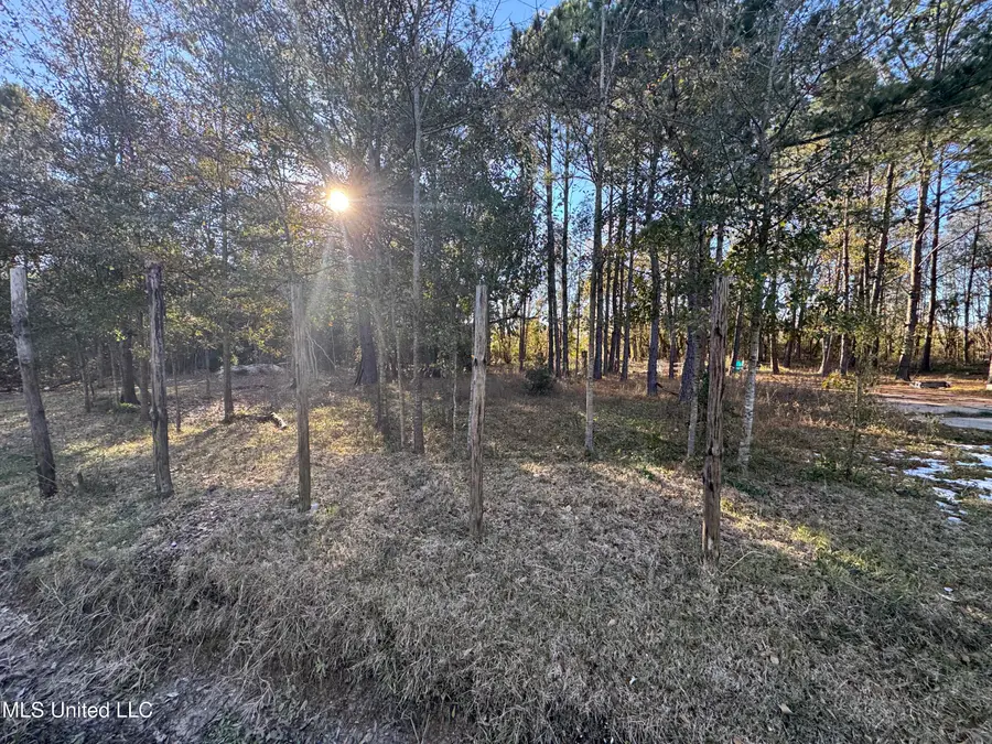 Lepoma Avenue, Biloxi, MS 39532 - Image #3