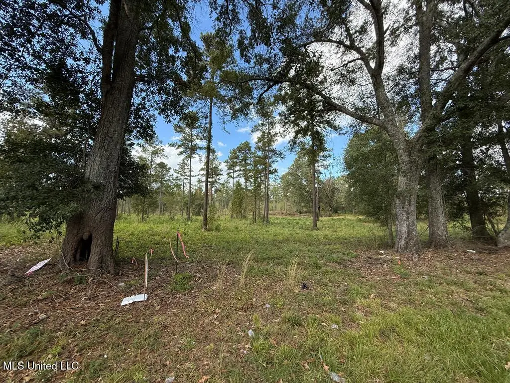 Old Hwy 33, Centreville, MS 39631 - Image #1