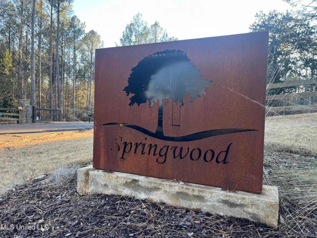 Springwood Trail, Flora, MS 39071 - #1