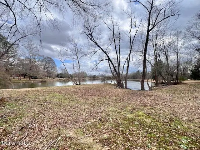 0 Old Orchard Rd, Gluckstadt, MS 39110 - Image #3
