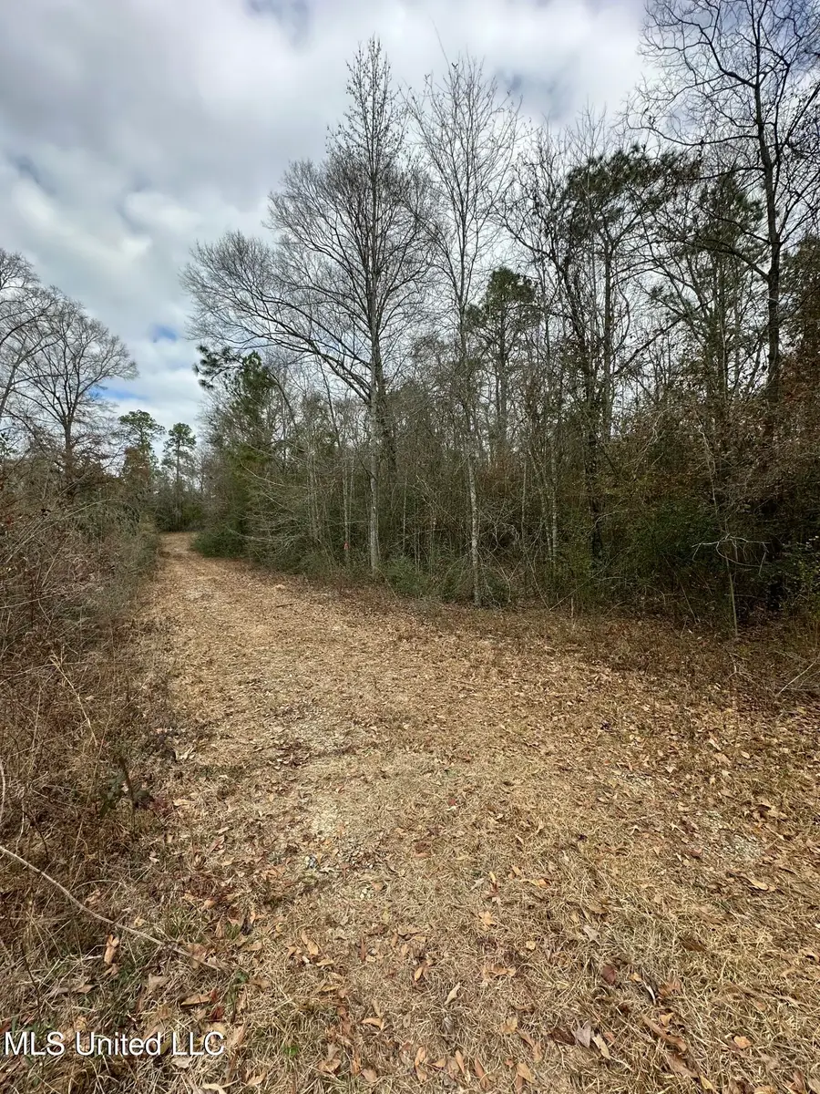 0 Barbara S Lane, Lumberton, MS 39455 - Image #2