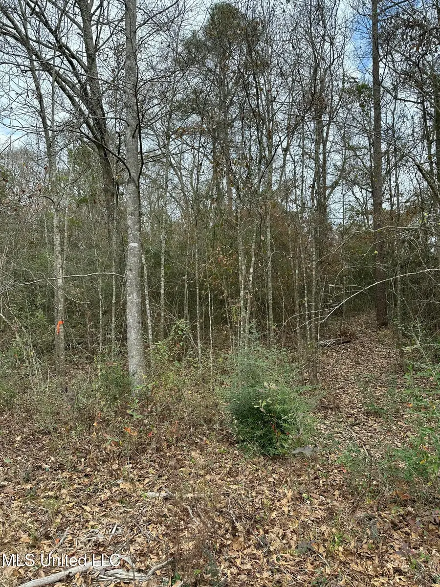 0 Barbara S Lane, Lumberton, MS 39455 - Image #3