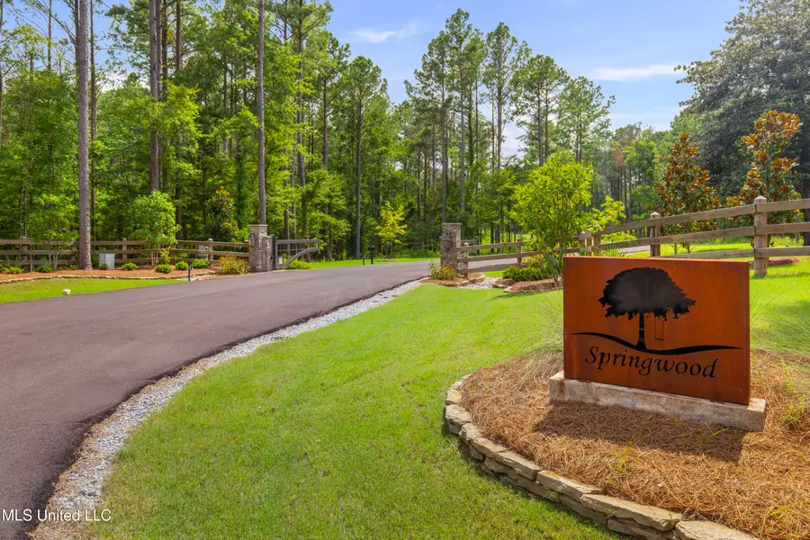 Springwood Trail, Flora, MS 39071 - #3