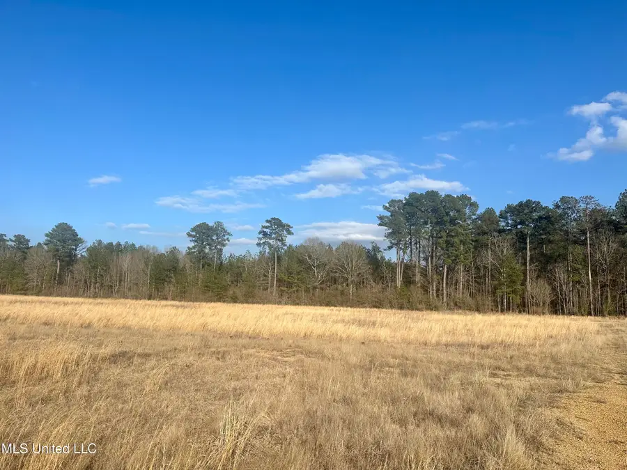0 Bowen Road, Mendenhall, MS 39114 - Image #3