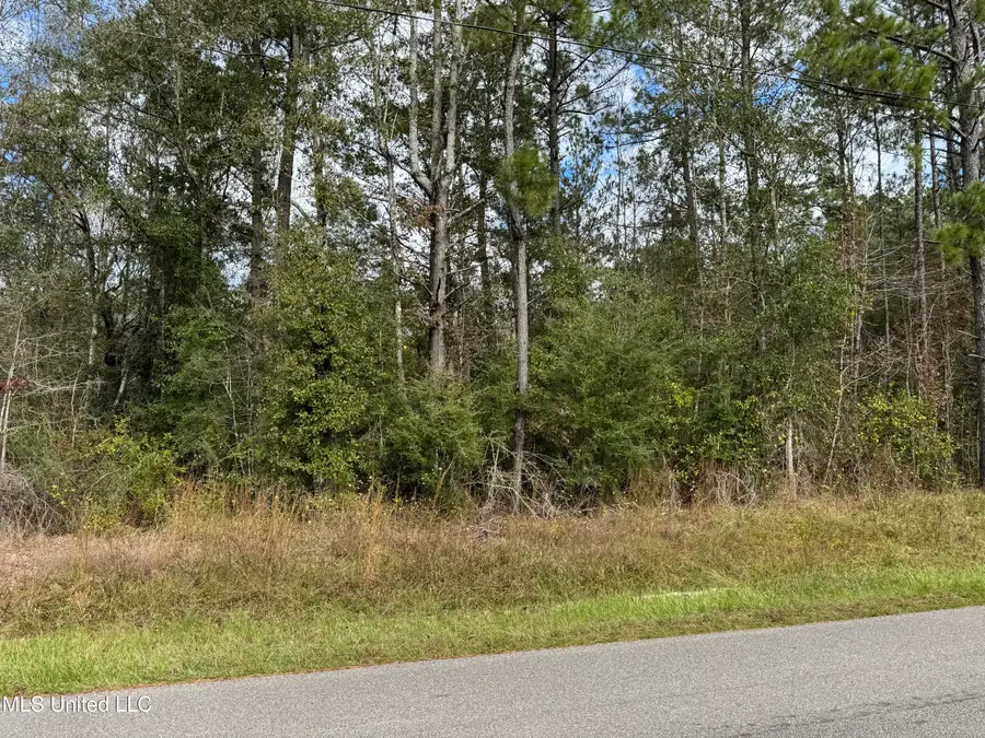 0 Dupont Harts Chapel Rd Road, Poplarville, MS 39470 - #2