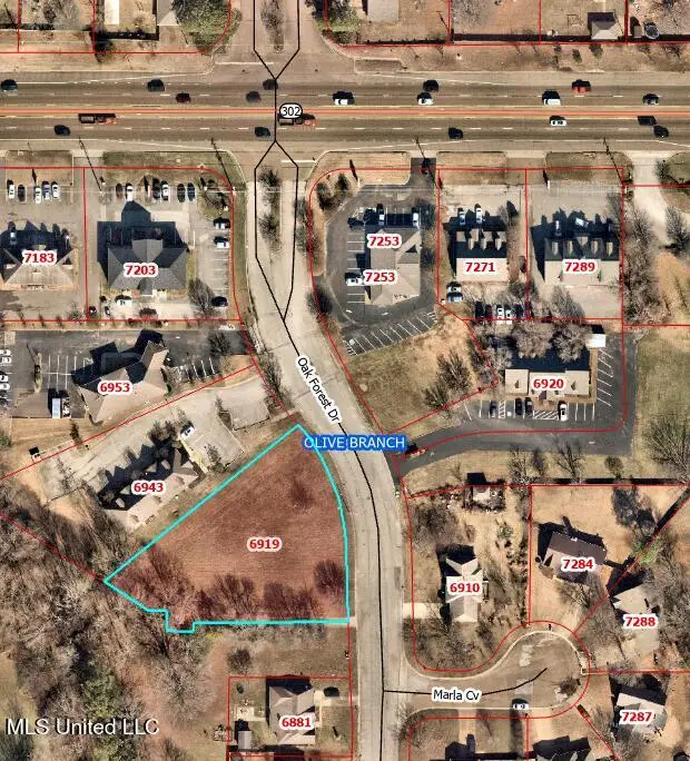 6919 Oak Forest Drive, Olive Branch, MS 38654 - Image #1