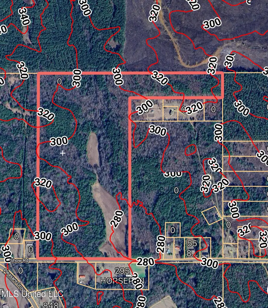 340 Horsepen Road, Gore Springs, MS 38929 - Image #3