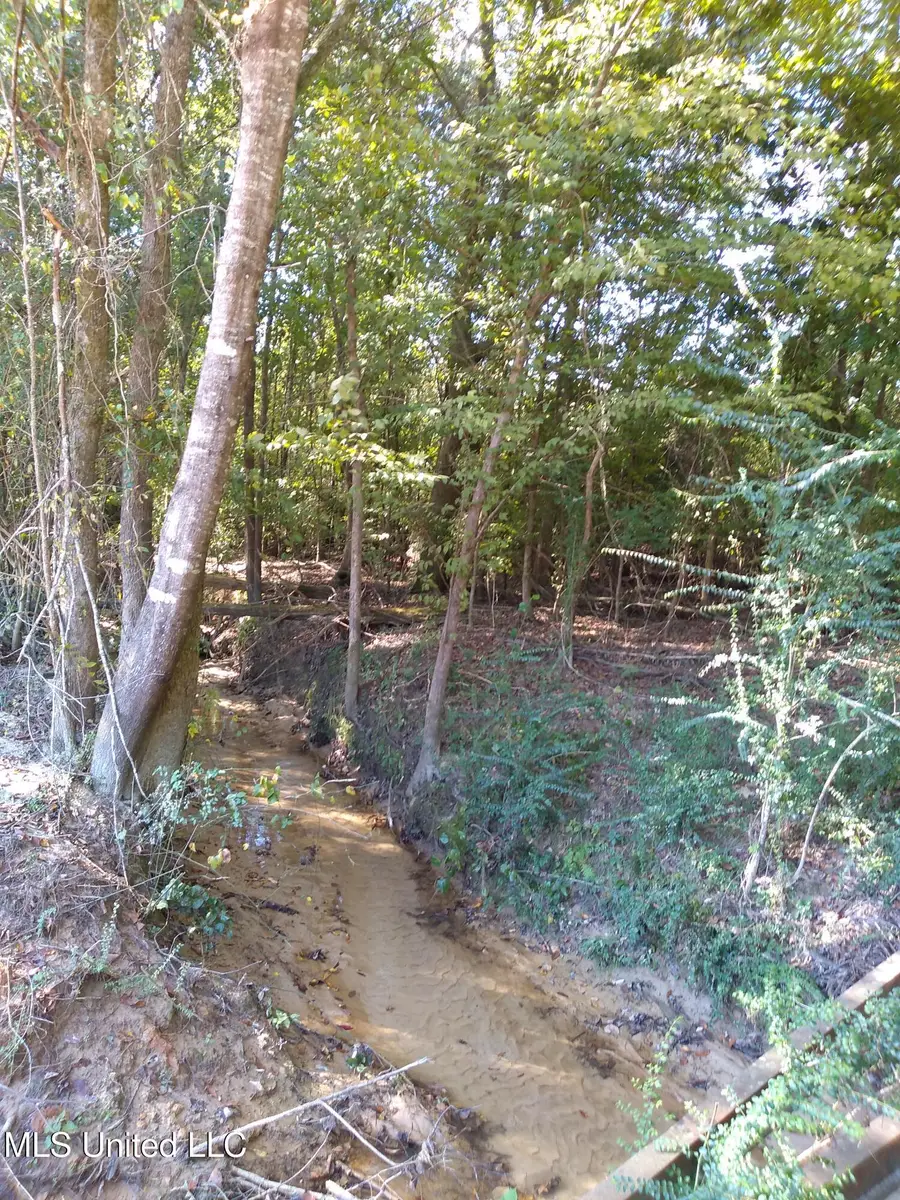 144 Kathryn Drive, Brandon, MS 39042 - Image #3