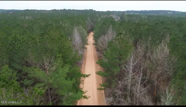 Mount Gilead Road, McCall Creek, MS 39647