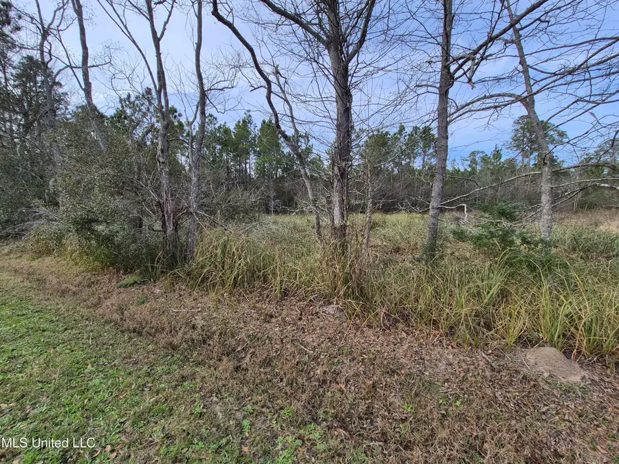 Yukon Street, Bay Saint Louis, MS 39520 - Image #2