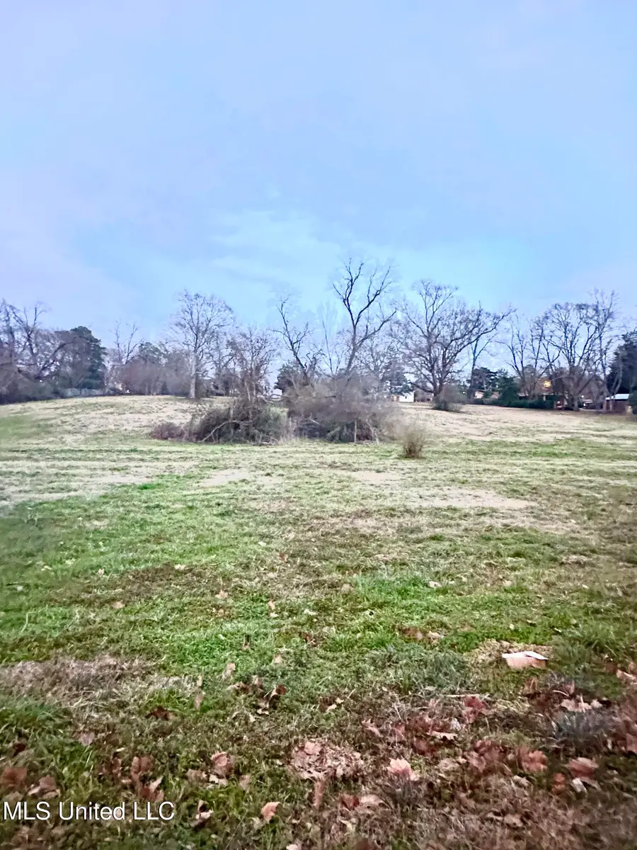 0 SW 4th Avenue, Magee, MS 39111 - Image #3