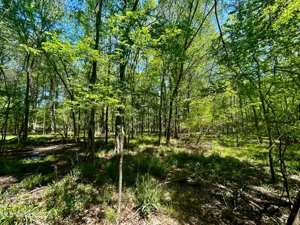 Sundial Road, Madison, MS 39110