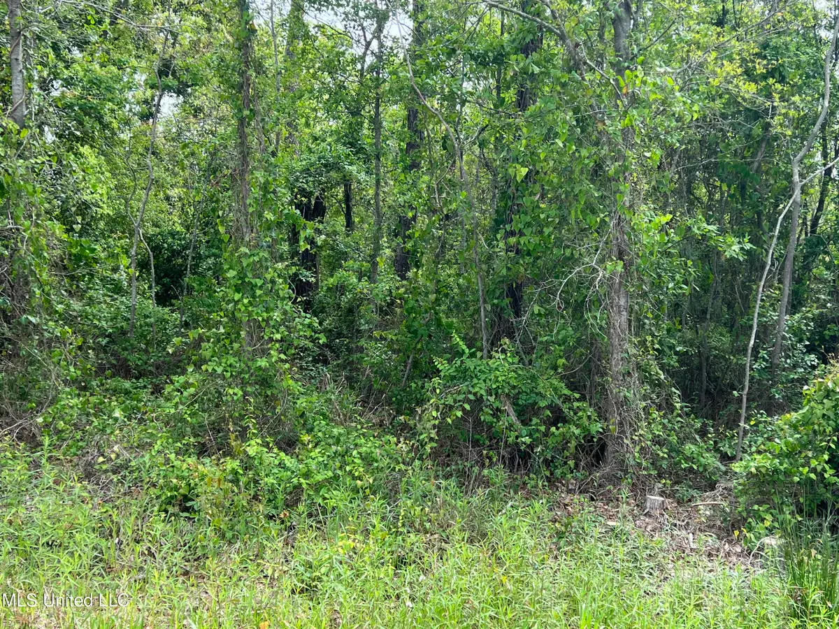 0 Market Street, Pass Christian, MS 39571 - Image #1