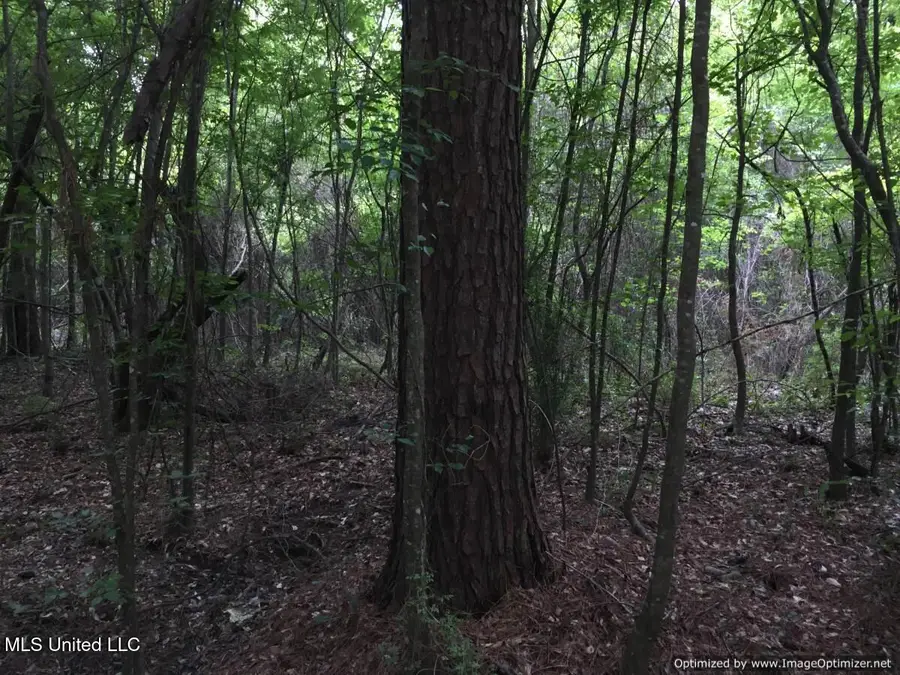 3001 Mallalieu Drive, Ruth, MS 39662 - Image #3