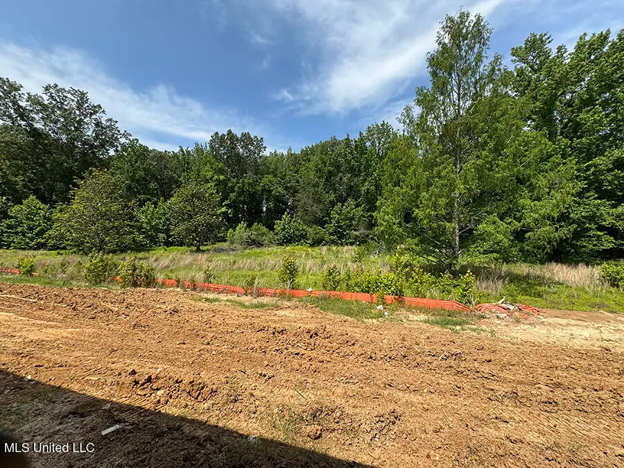 4229 W Olivia Circle, Olive Branch, MS 38654 - Image #3