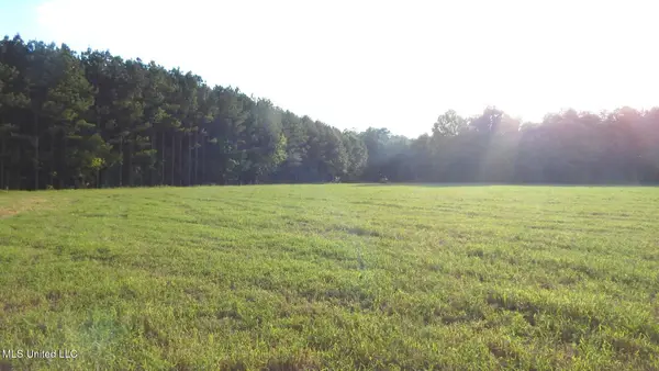 504 247 Country Road, Bruce, MS 38915