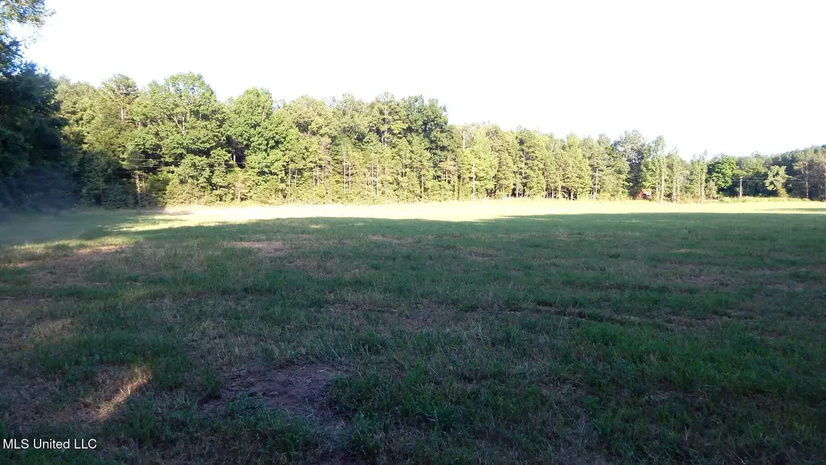 590 247 Country Road, Bruce, MS 38915 - Image #1