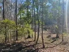Lot 13 Turkey Creek Road, Natchez, MS 39120 - Image #1