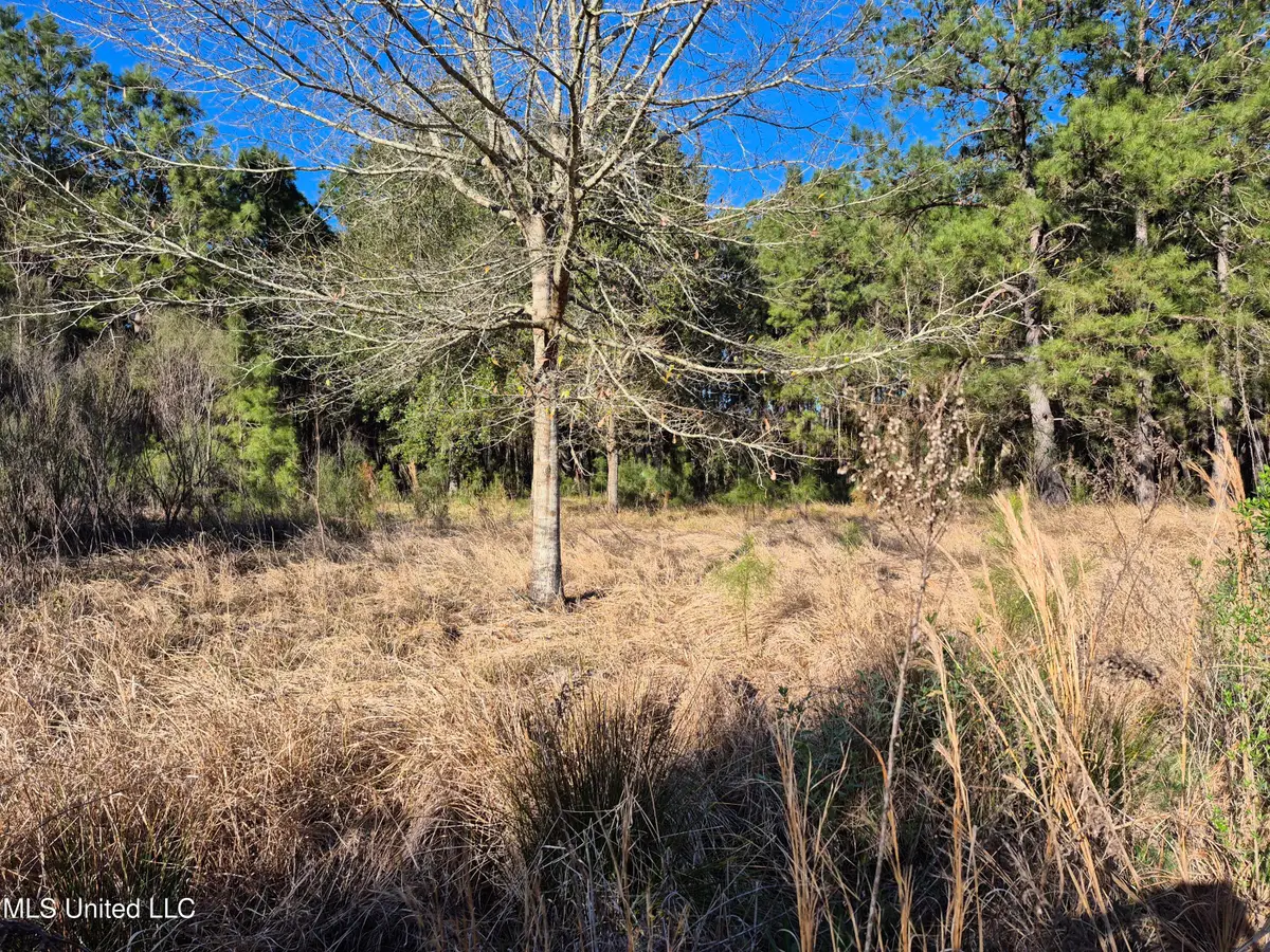 16th Street, Bay Saint Louis, MS 39520 - Image #1