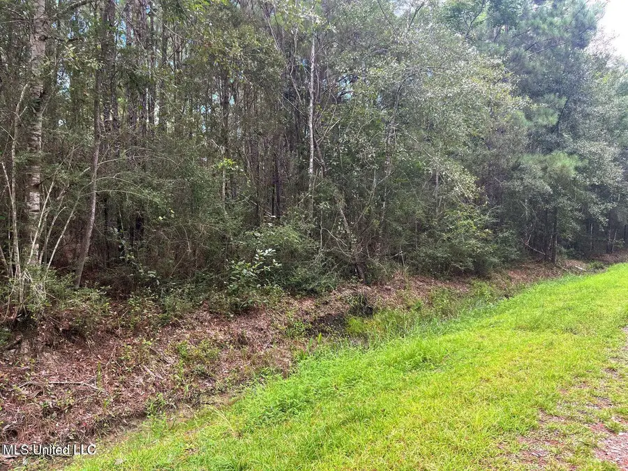 Tampa Circle Circle, Pearlington, MS 39572 - Image #2