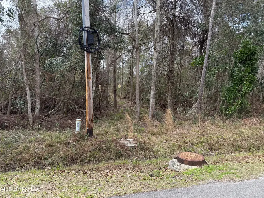 6419 Apelehama Road, Diamondhead, MS 39525 - Image #3