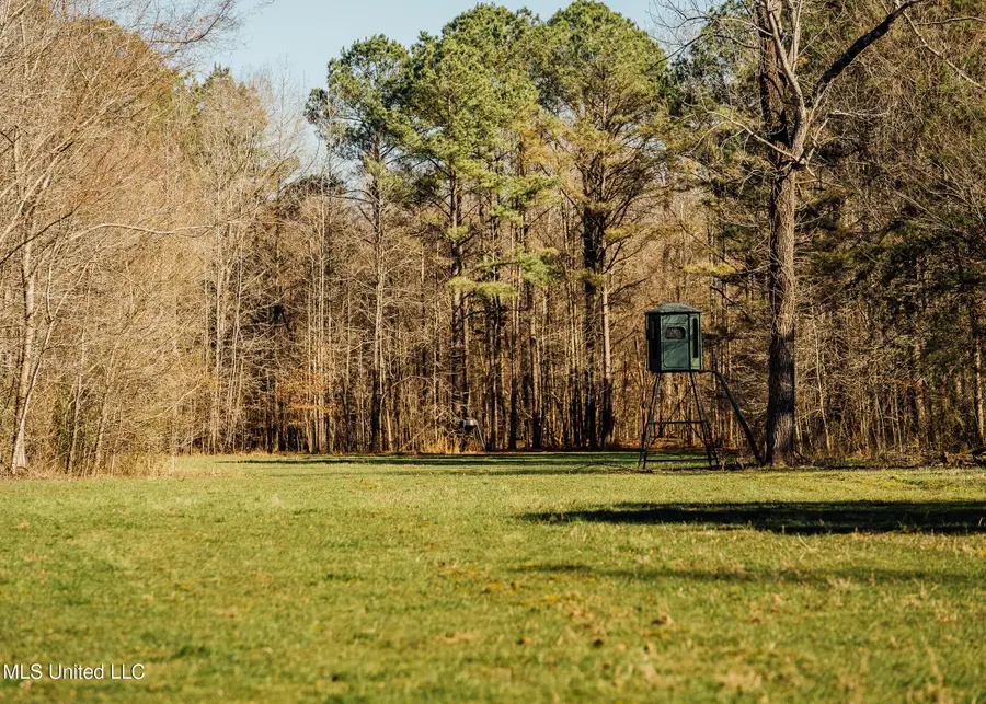 Alfred Phelps Lane, Lexington, MS 39095 - Image #2