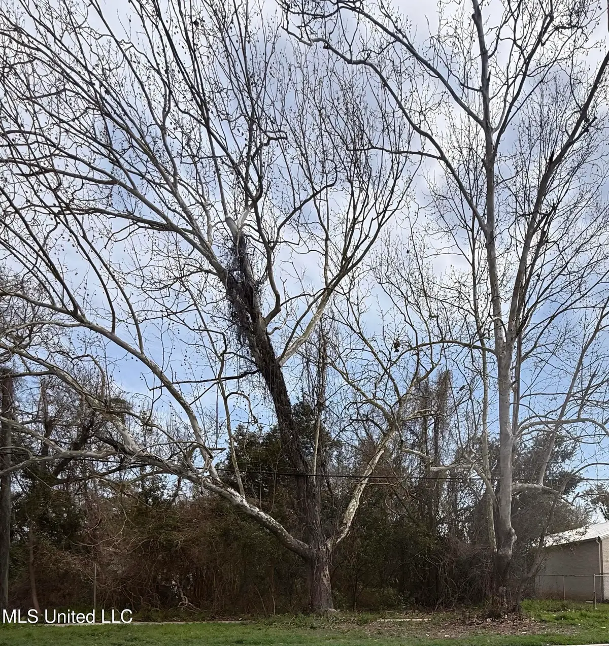 30th Avenue, Gulfport, MS 39501 - Image #1