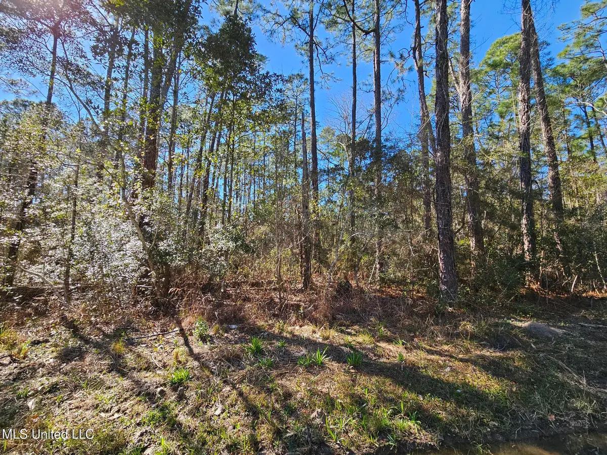 Lot 29 Gregory Drive, Pass Christian, MS 39571 - Image #1