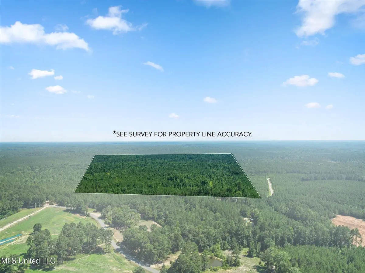 0 Jp Hinton Road, Richton, MS 39476 - Image #1