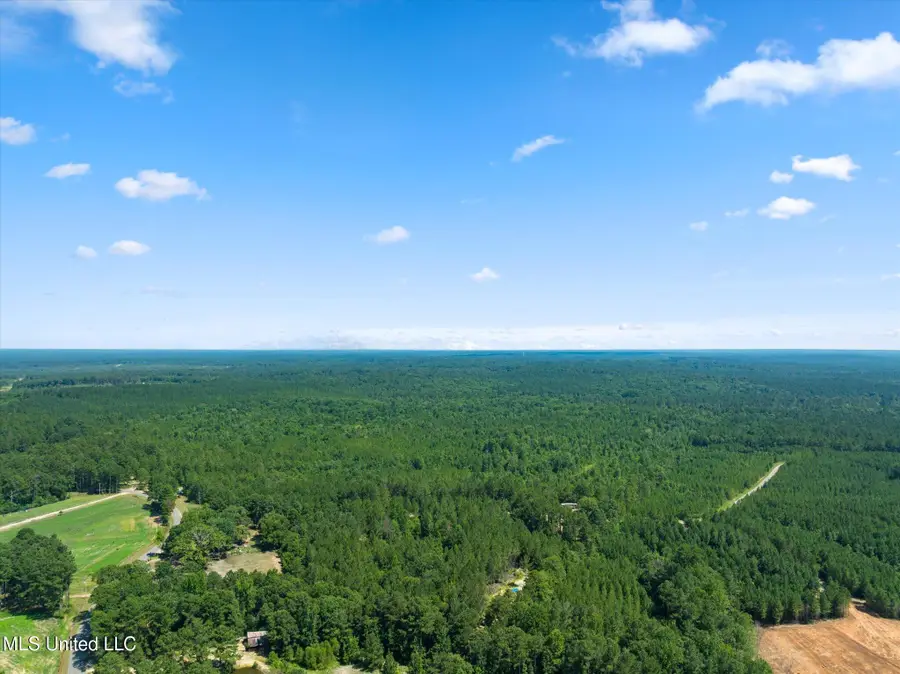 0 Jp Hinton Road, Richton, MS 39476 - Image #2