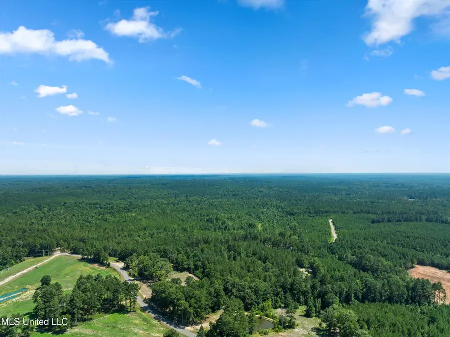 0 Jp Hinton Road, Richton, MS 39476 - Image #3