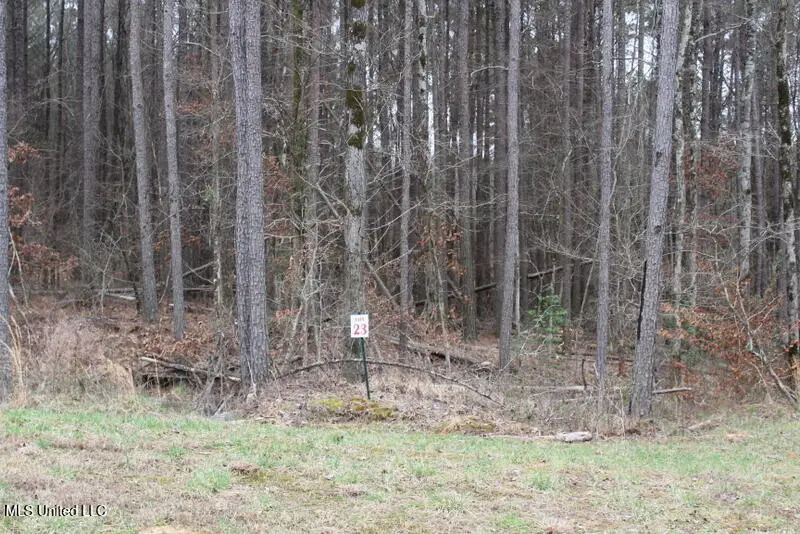 13319 Ella Lane, Byhalia, MS 38611 - Image #1