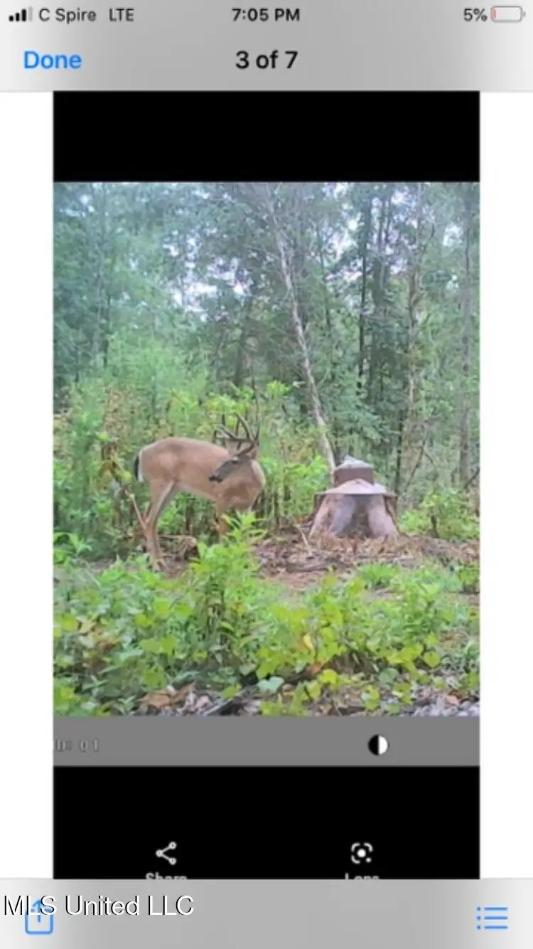 Looxahoma Tyro Road, Senatobia, MS 38668 - Image #2