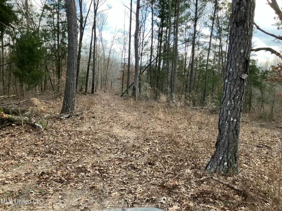 Looxahoma Tyro Road, Senatobia, MS 38668 - Image #3