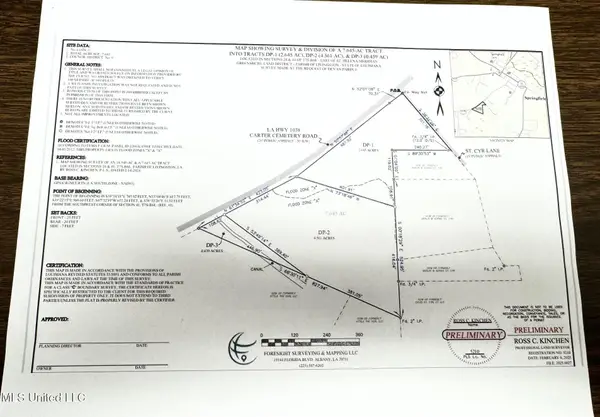 0 Carter Cemetery Road, Springfield, LA 70462