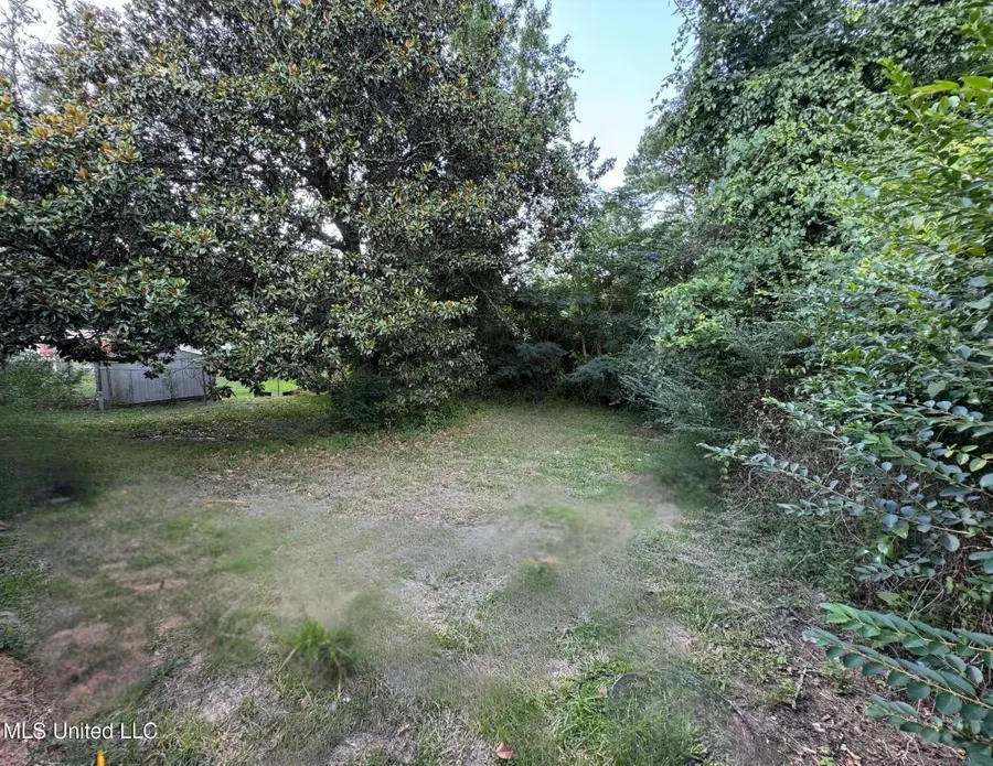 812 Carver Street, Carthage, MS 39051 - Image #3