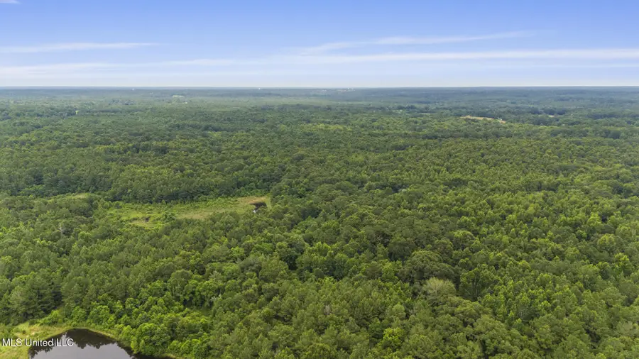 00 Tom Chance Road, Poplarville, MS 39470 - Image #2