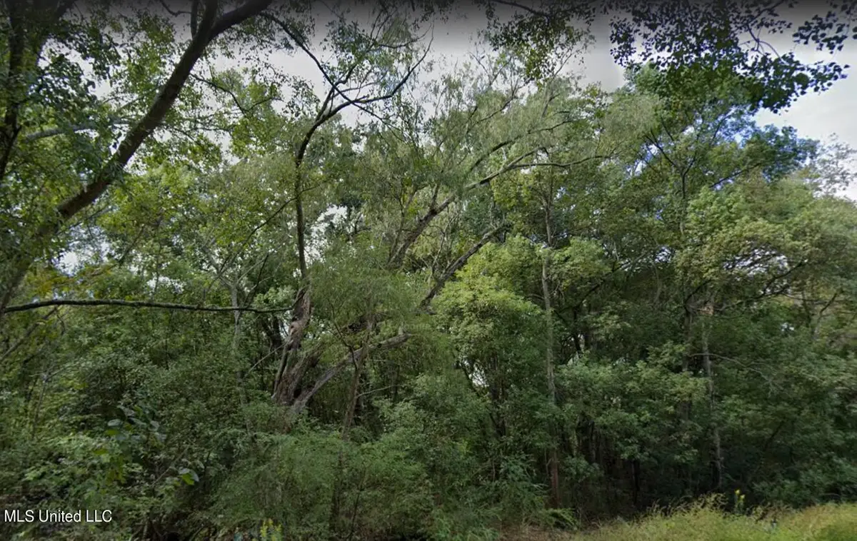0 Dye Avenue, Moss Point, MS 39563 - Image #1