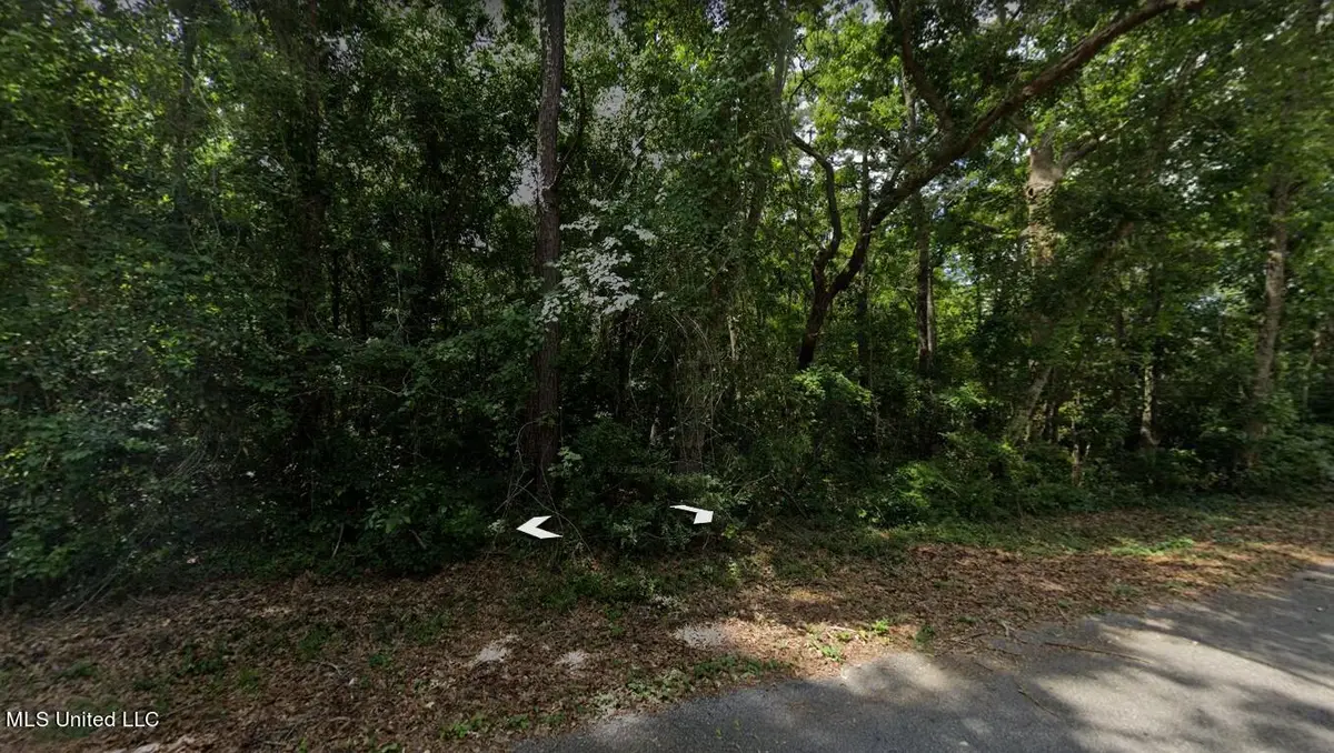 Lot 198 Tuna Road, Gautier, MS 39553 - Image #1