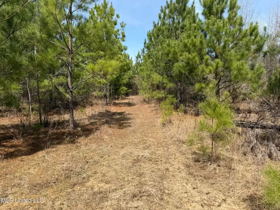 Clyde Evans Rd, Newton, MS 39345 - Image #2